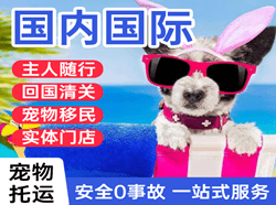 浪头航空空运国际宠物托运 【国